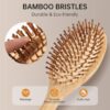 Best BAMBOO HAIR BRUSH eco