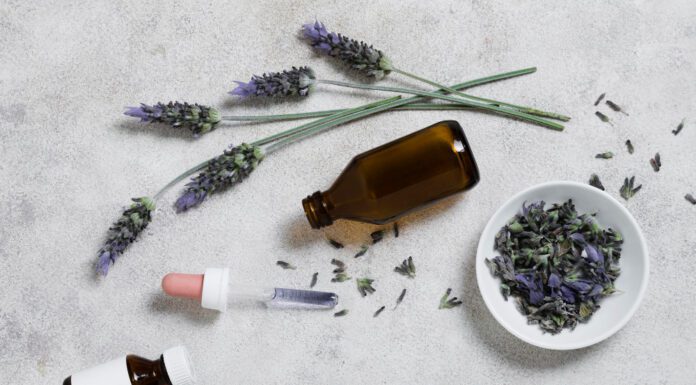 Best Tips How to Make Homemade Vegan Skincare Products How to Make Homemade Vegan Skincare Products