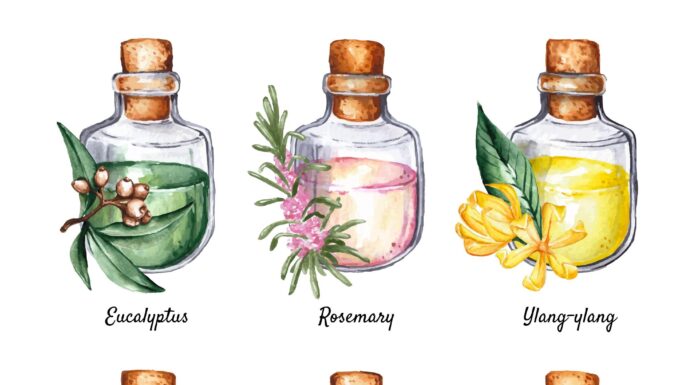 Top 7 Essential Oils: Explored, Examined, and Evaluated Best Essential Oils