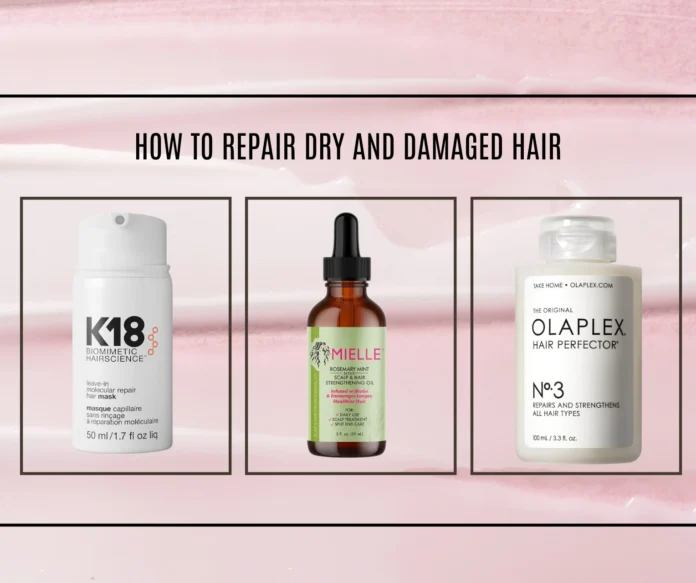 How to Repair Dry And Damaged Hair